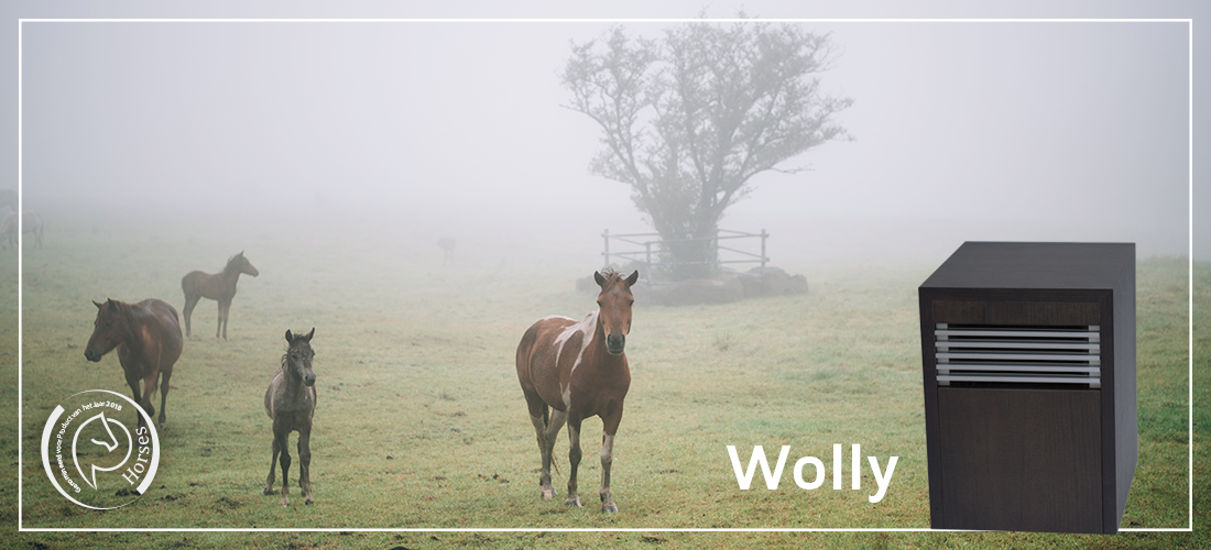 Tiere Wolly