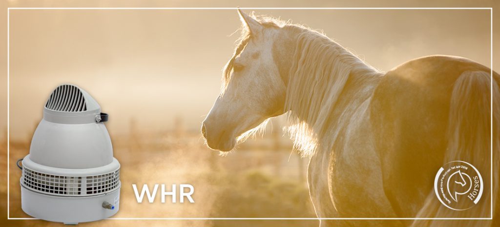 effecten halotherapie