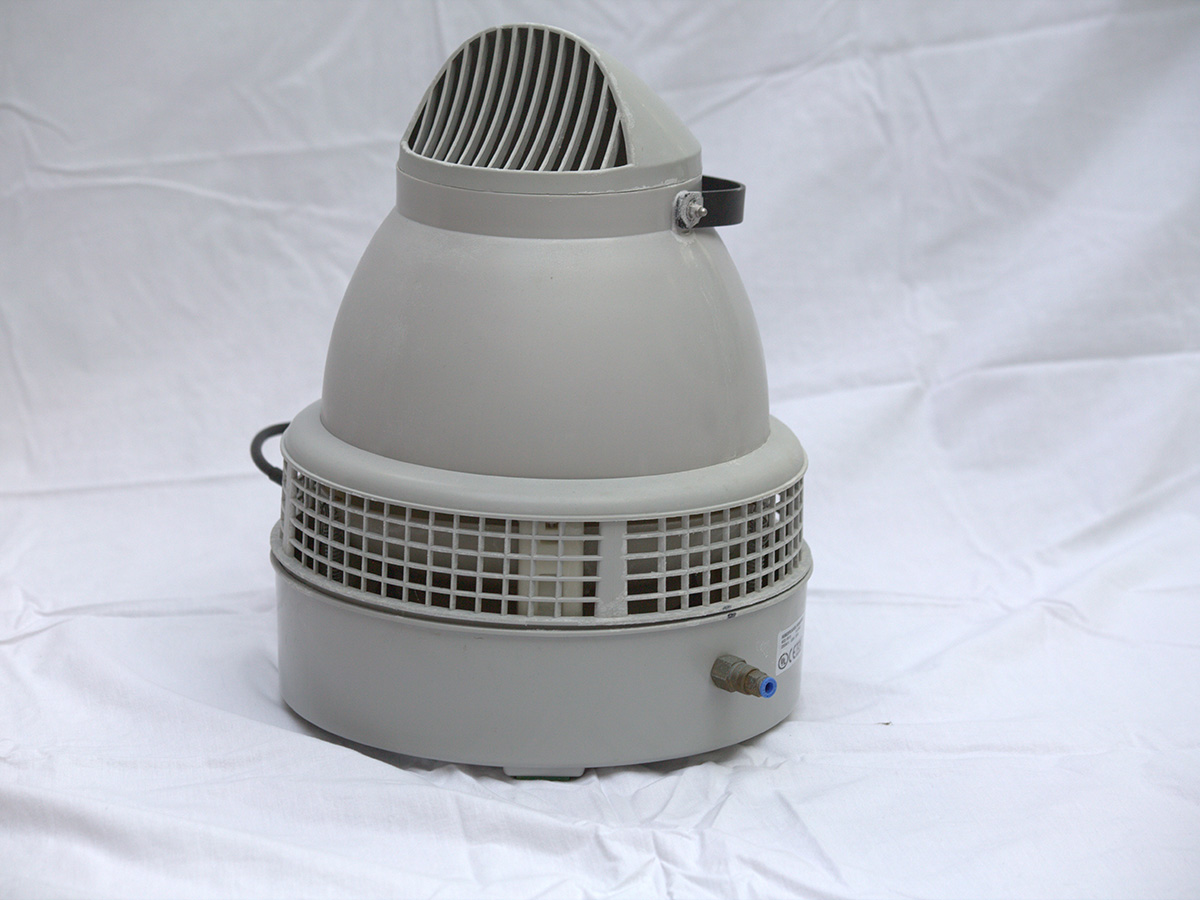 Zouttherapie paarden